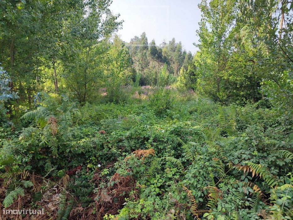 Terreno Rustico para venda em Sosa