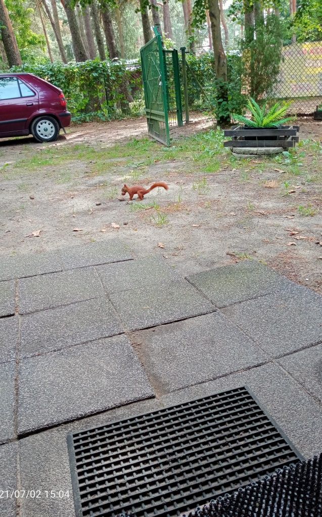 Wynajmę Domek Letniskowy jezioro Białka Parczewska Nocleg 7osób