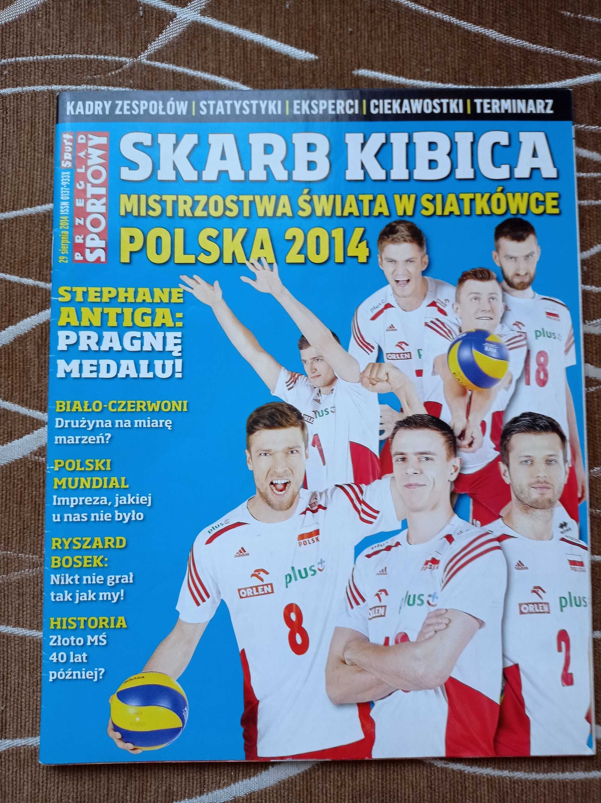 Skarb kibica Siatkówka 2014