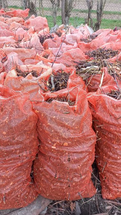 zrębka- drewno z jabłoni . Cena za jeden worek