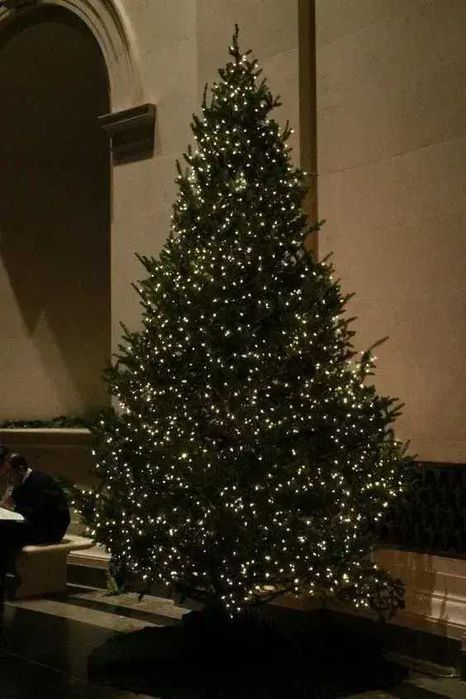 Трендова Гірлянда роса на котушці 100 м мішура на ялинку