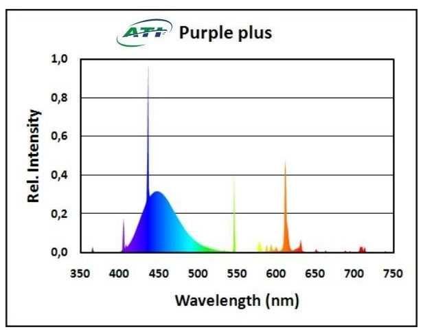 ATI Purple plus 54 Wat akwarium morskie