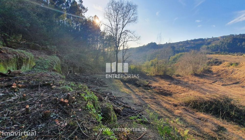 Venda Terreno, Várzea de Ovelha e Aliviada, Marco de Canaveses