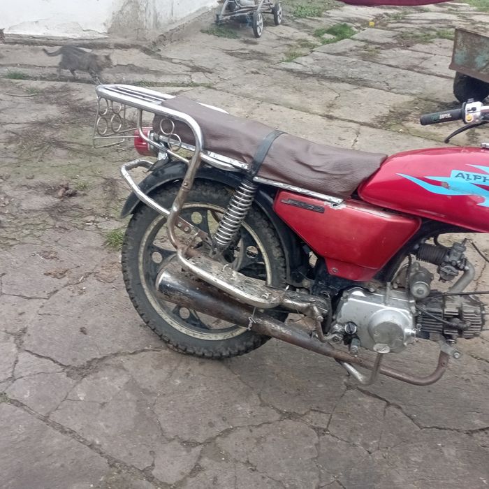 Альфа на ходу на документах