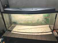 Akwarium profilowane 240l 120x40x50 z pokrywą