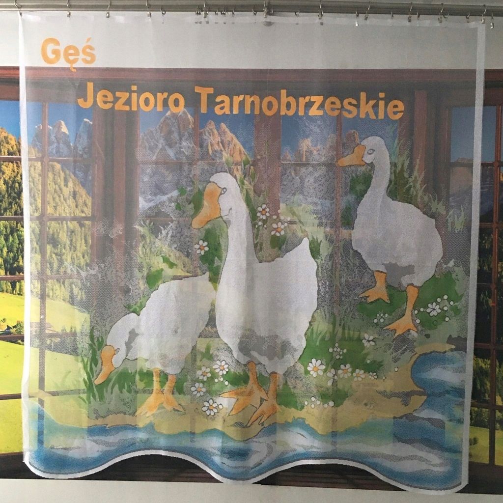 Firanka gąski 150x150cm firana żakard dla dzieci gęsi kolorowe firany