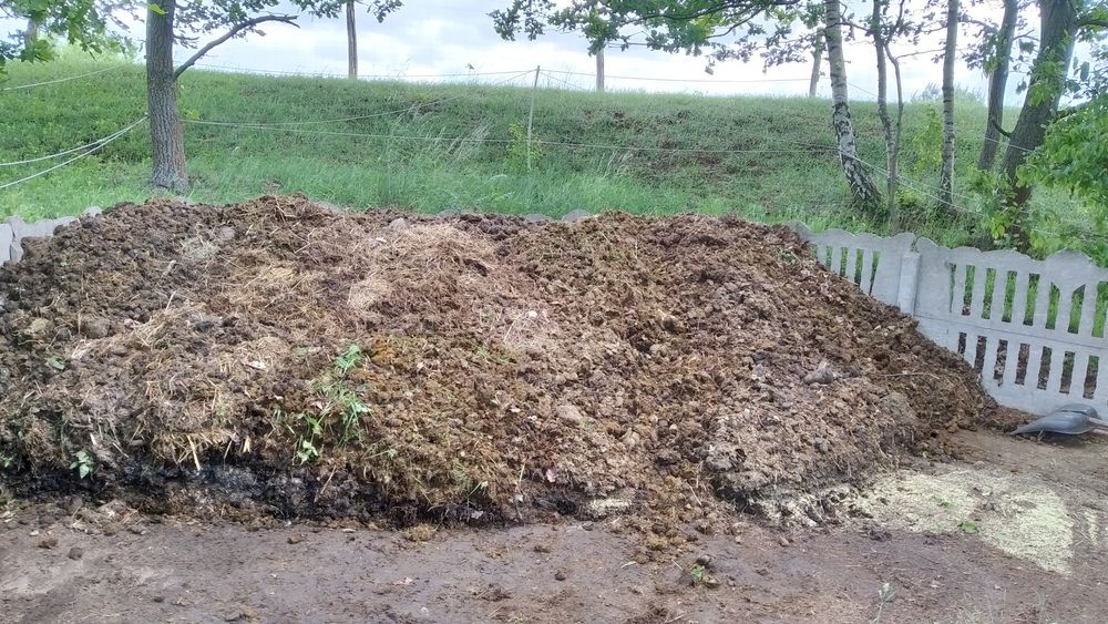 Obornik koński, nawóz naturalny