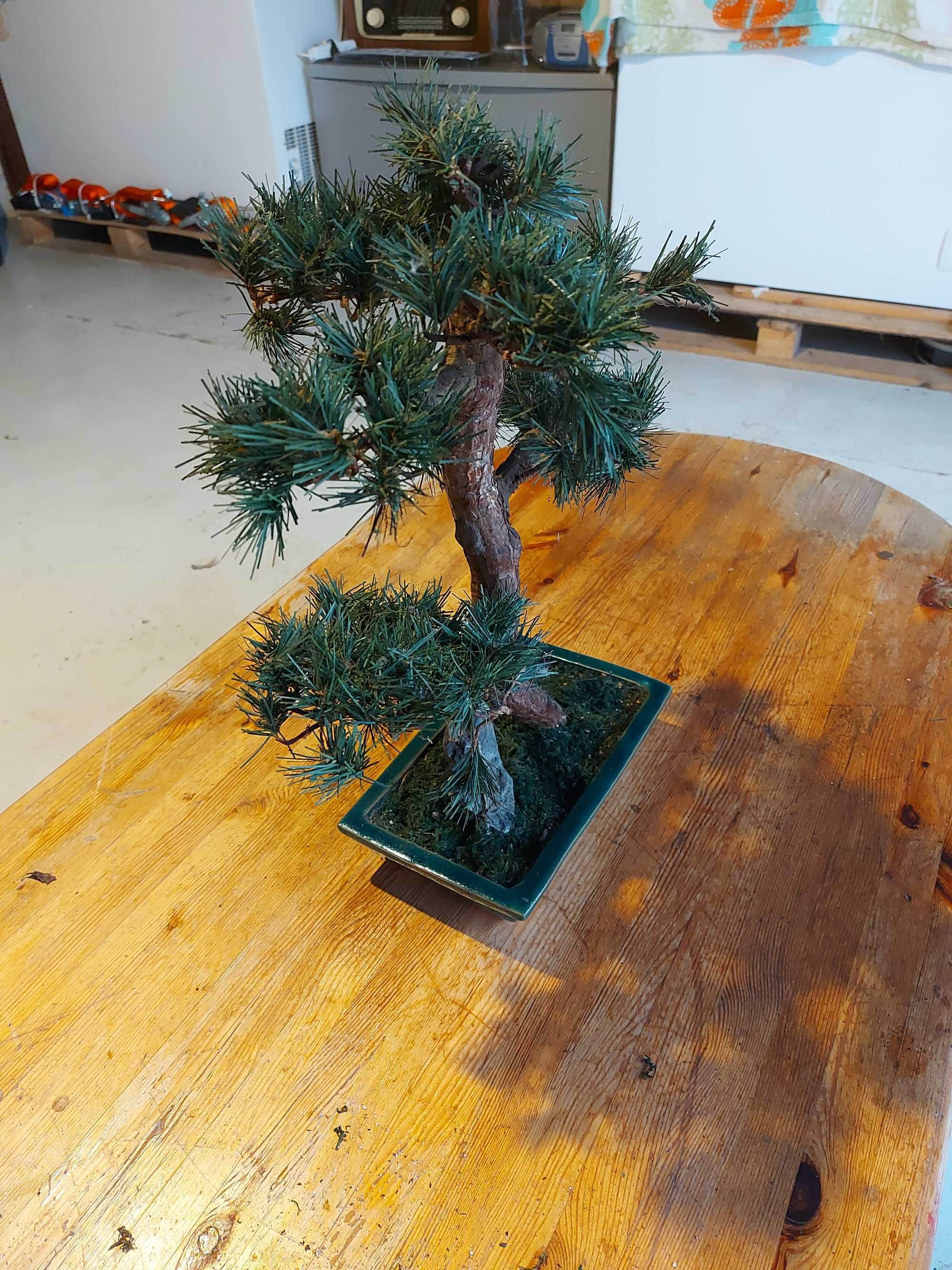 Drzewko bonsai sztuczne