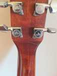 Guitarra Acustica Sigma