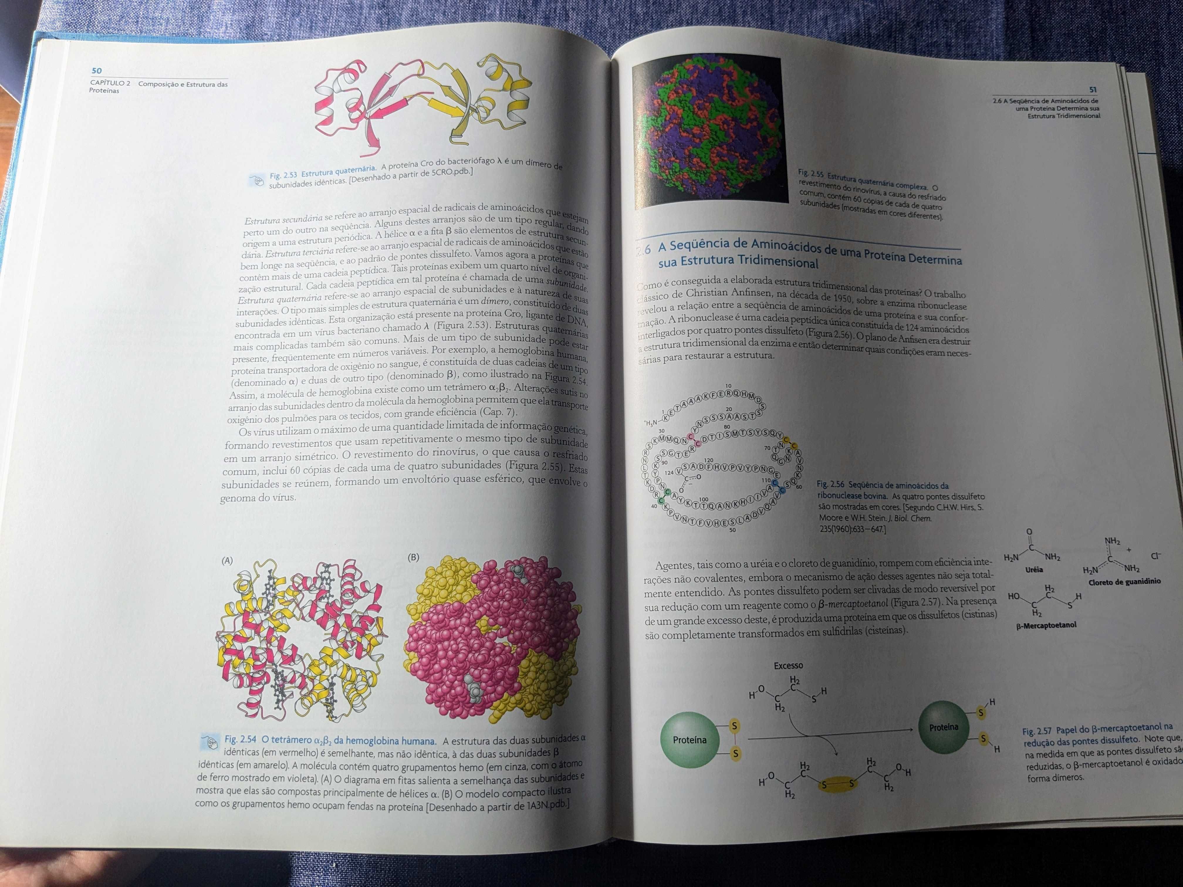Stryer, Bioquímica, 6ed Português