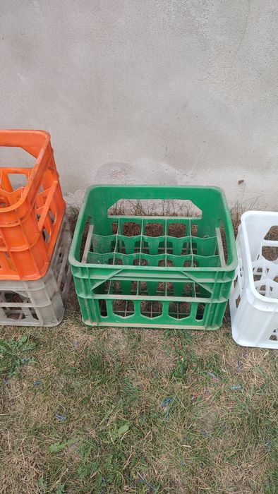 Skrzynka Piwo, Woda Mineralna, Transporter