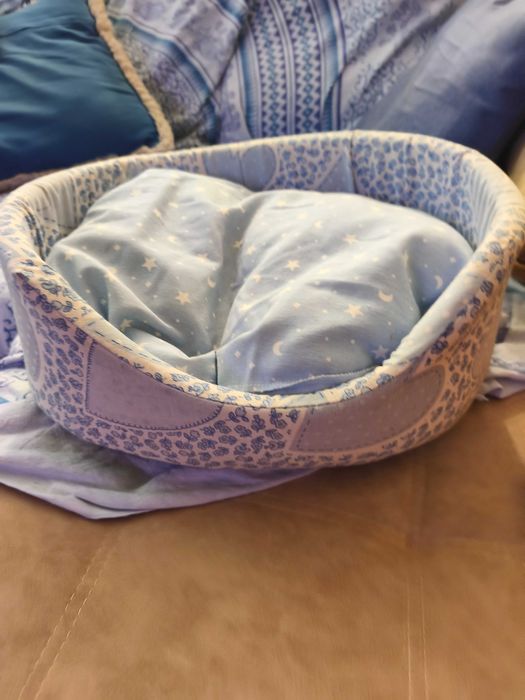 Caminha para gato ou cão