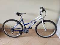 Bicicleta EMT PRO-XR500