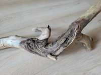 Korzeń naturalny korzeń dł. 48 cm do akwarium terrarium