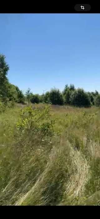 Продаж земельна ділянка Орів Вітряки Трускавець