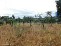 Terreno / Fundão, Soalheira