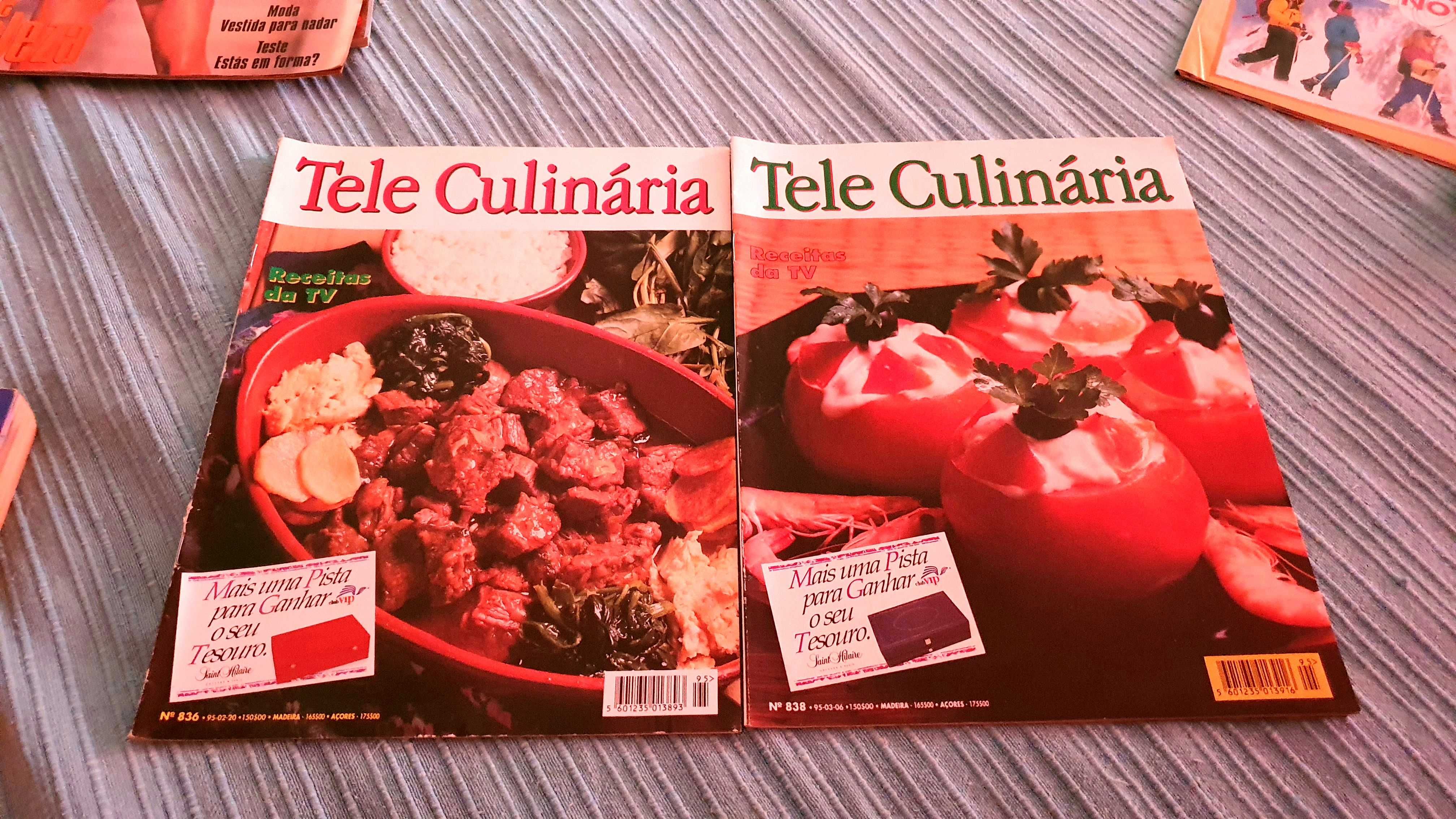 Revistas Tele Culinaria de 1995