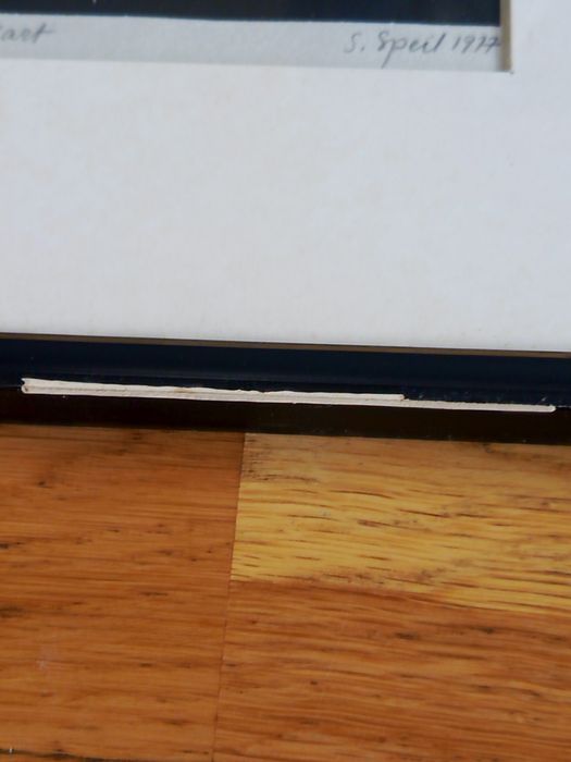 Grafika ( drzeworyt) Stefan Speil