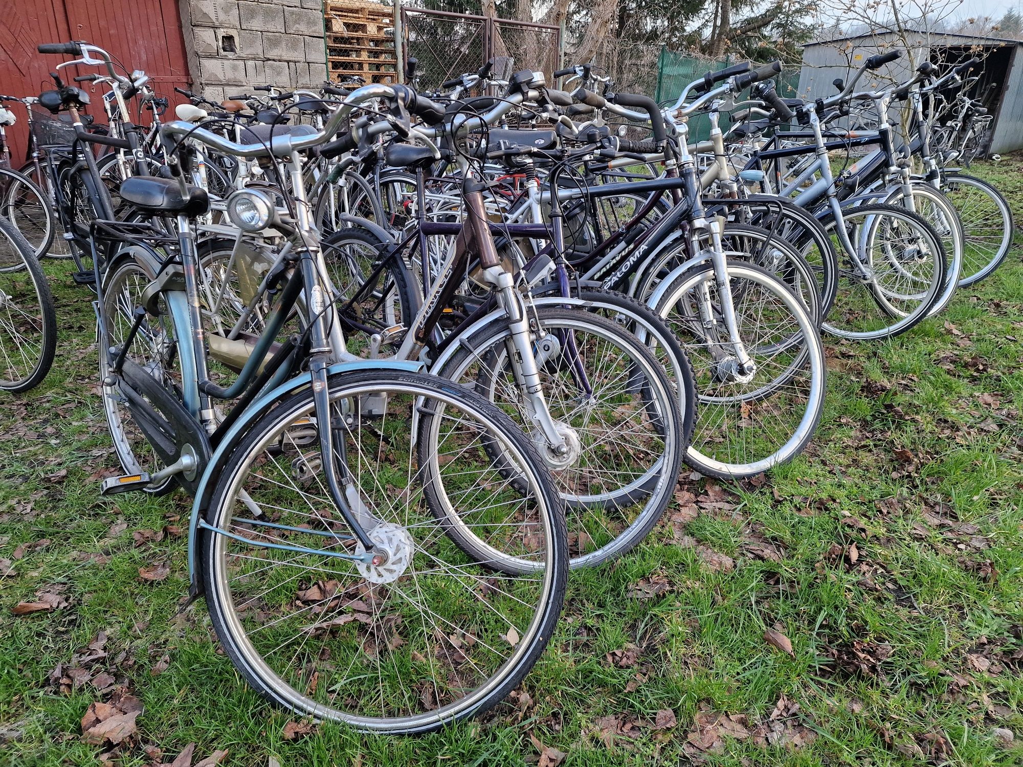 Pakiet rowerów holenderskich 40sztuk gazelle sparta batavus