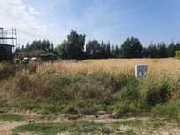 Działka Budowlana Tarnowo Podgórne/Góra, piękna lokalizacja, 1174m2