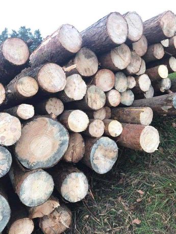 Drewno opałowe mix transport tanio drzewo, sezonowane, pocięte
