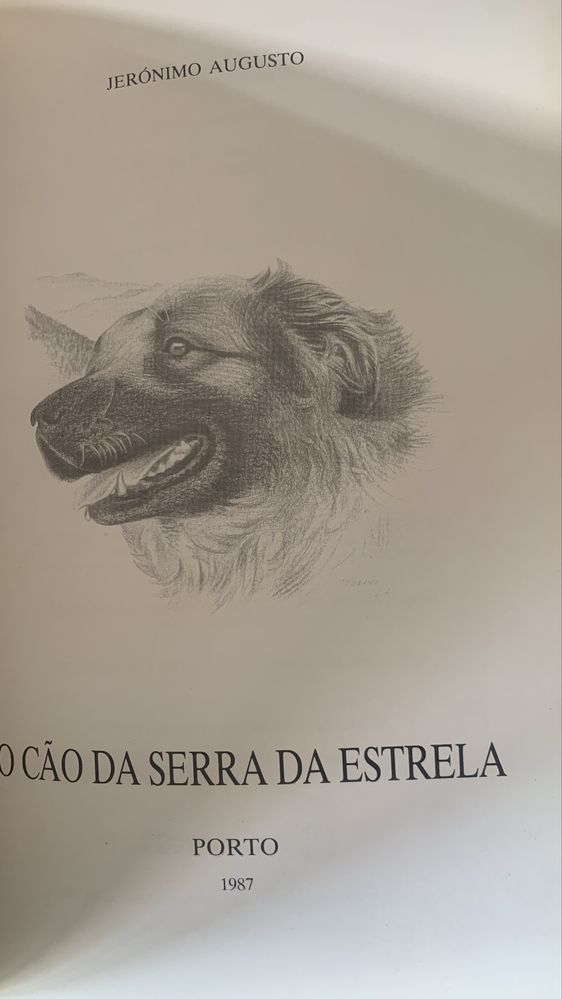 O cão da Serra da Estrela