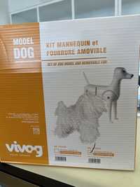 Model dog para grooming (NOVO)