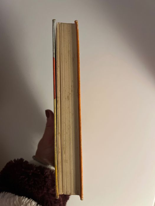 Livro Esquecer Palermo