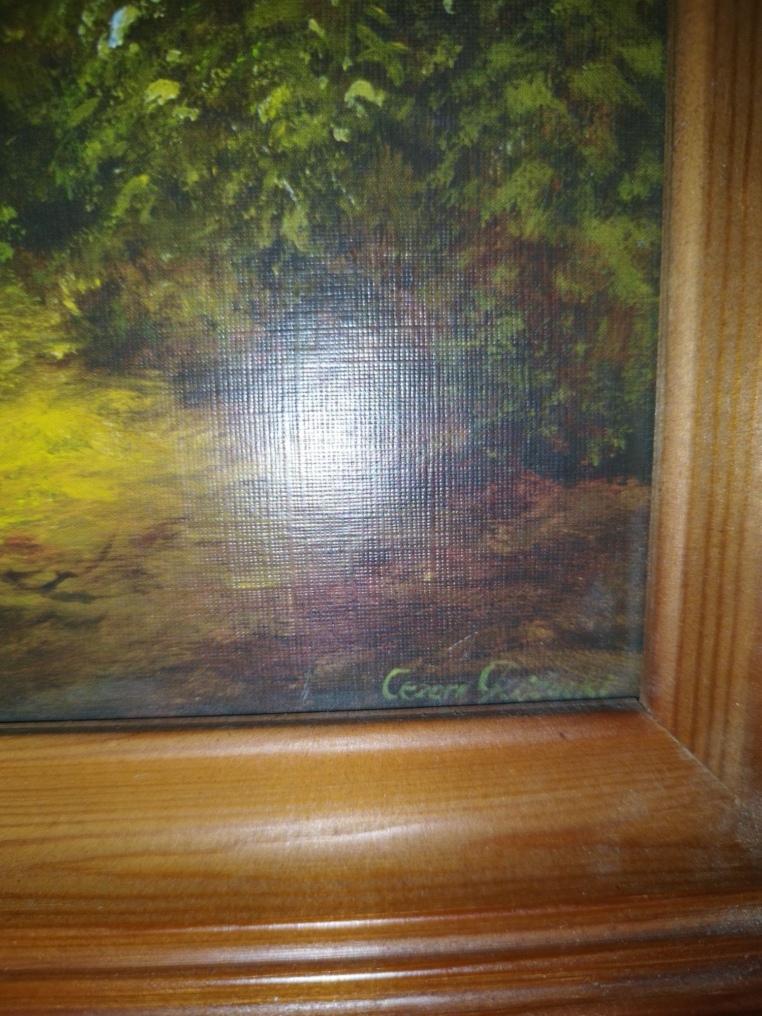 Obraz w drewnianej ramie "Moczary" Cezary Różycki