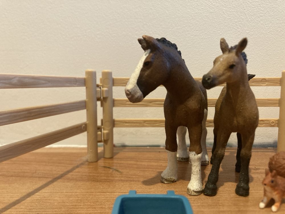Zestaw schleich