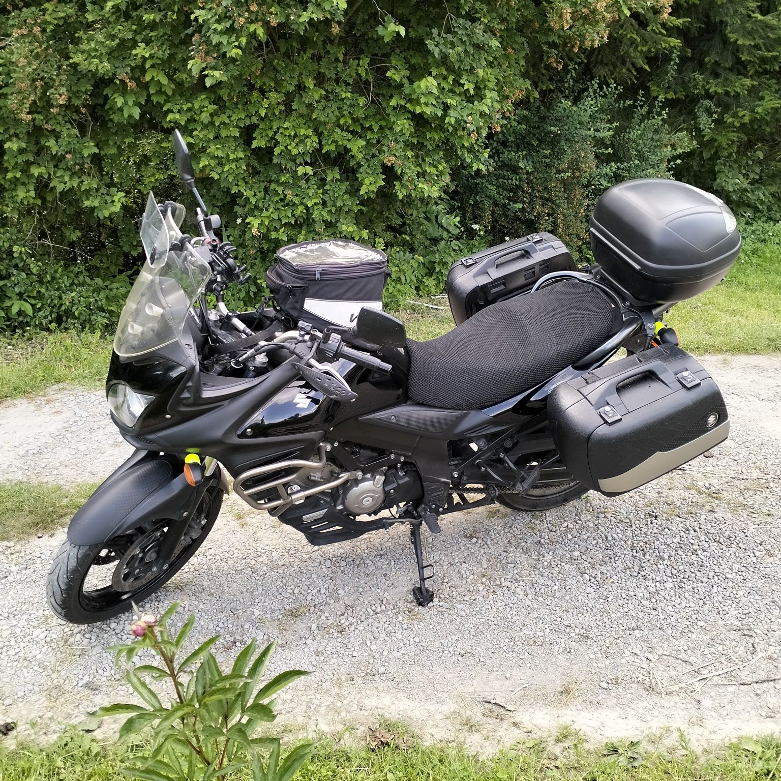 Suzuki DL V-storm 650