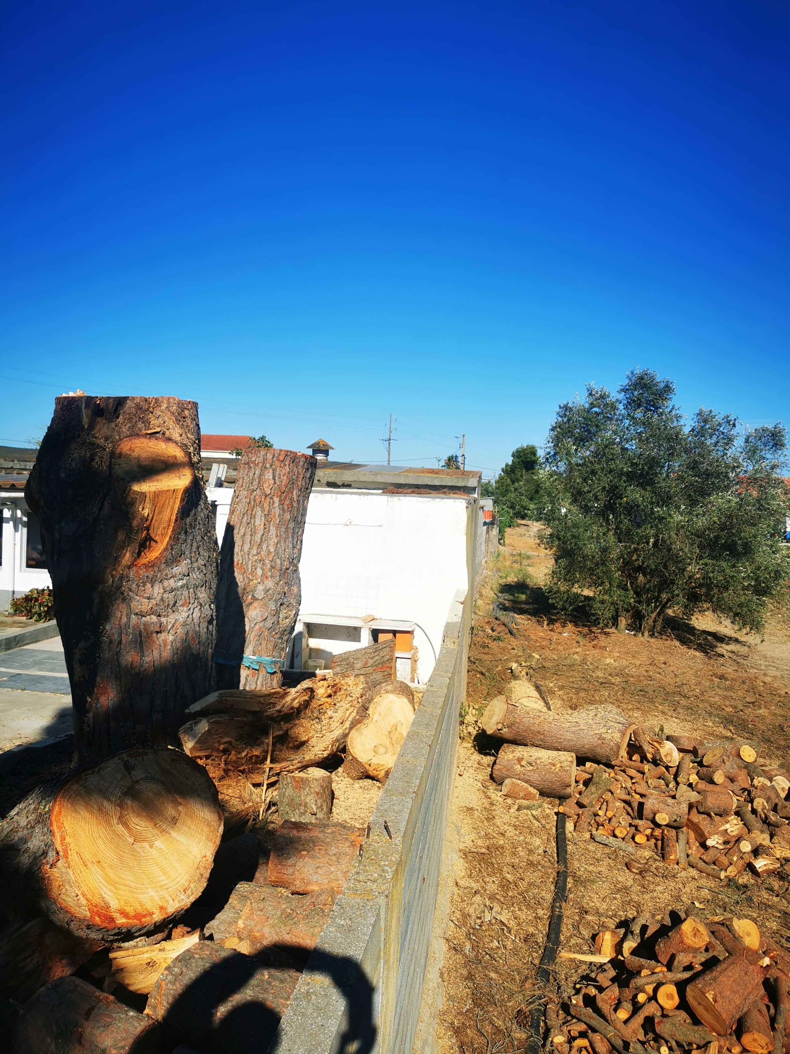 Corte de árvores difíceis / Difficult tree pruning and removal