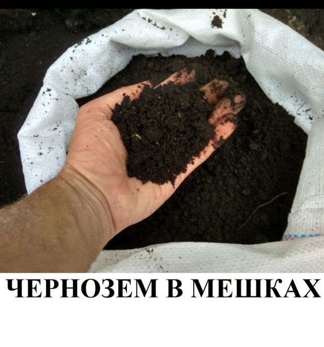 ЧЕРНОЗЕМ. ТОРФ. ПЕРЕГНОЙ. КОМПОСТ. Навоз, Перегній в мішках. Грунт.