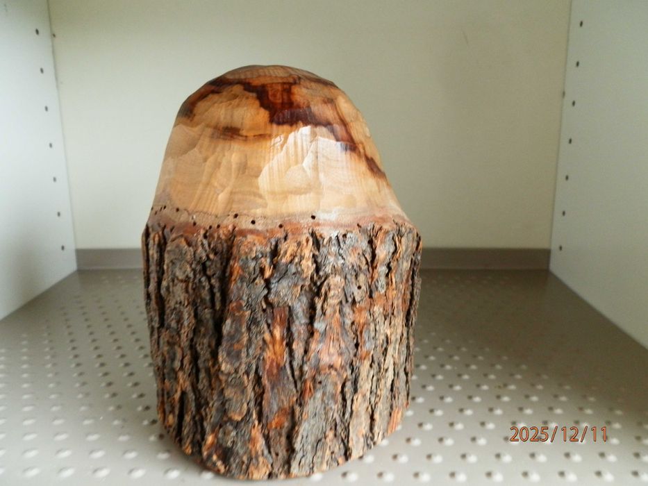 Busto Sculpido    ( Madeira  - Oliveira ?  )