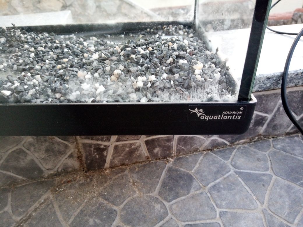 Aquário  de água quente