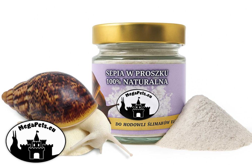 Sepia Kość mątwy Naturalna Wapń w proszku Ślimak Achatina Lissachatina