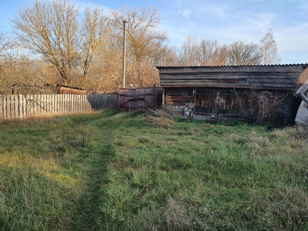 Будинок село Дніпровське (Повідов), Чернігівська область