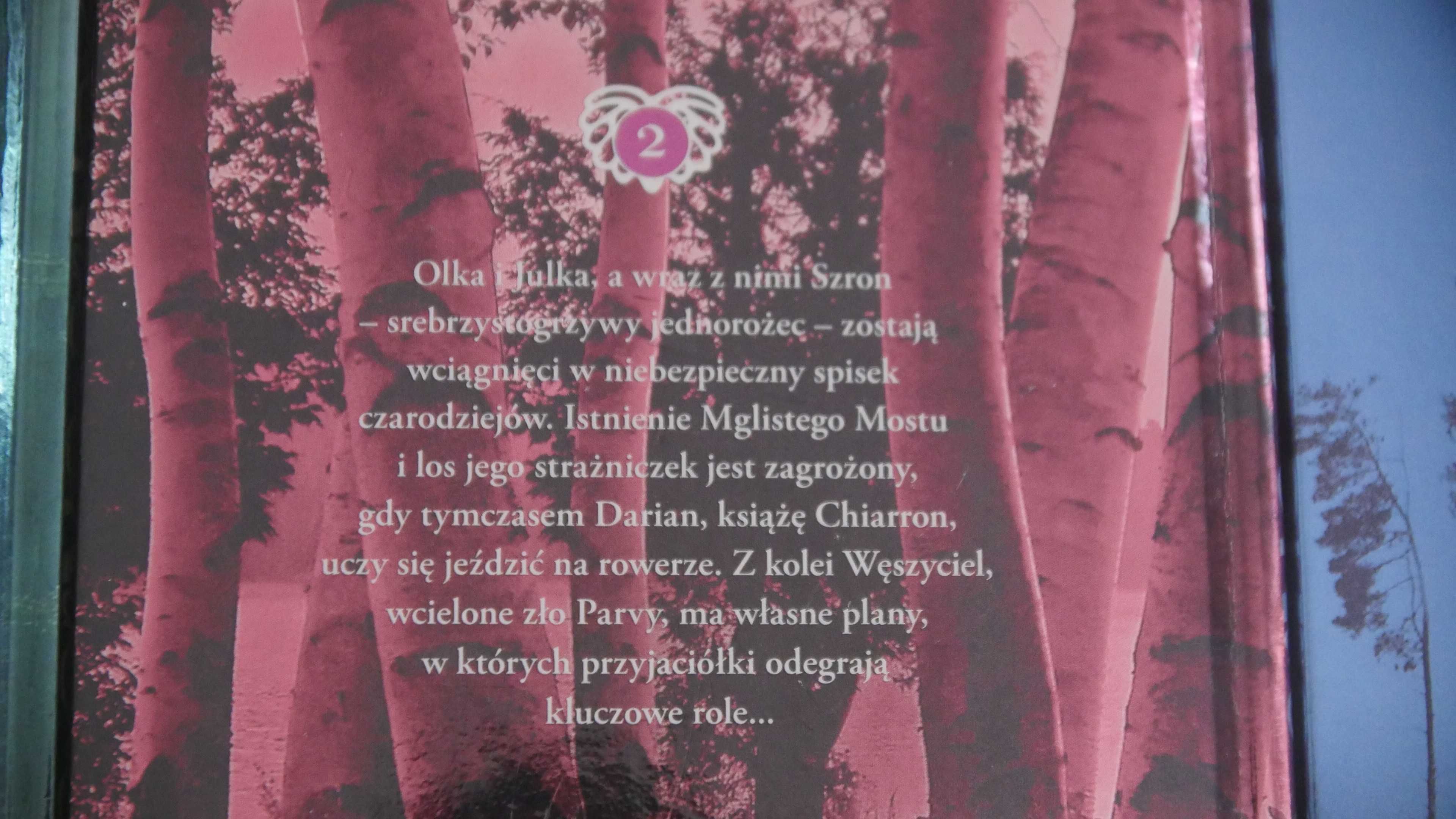 "Przez most we mgle" "Białe siostry" "Rozbite miasto" - A.Vollenbruch