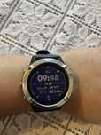 Garmin Fenix 6 Standard Edition