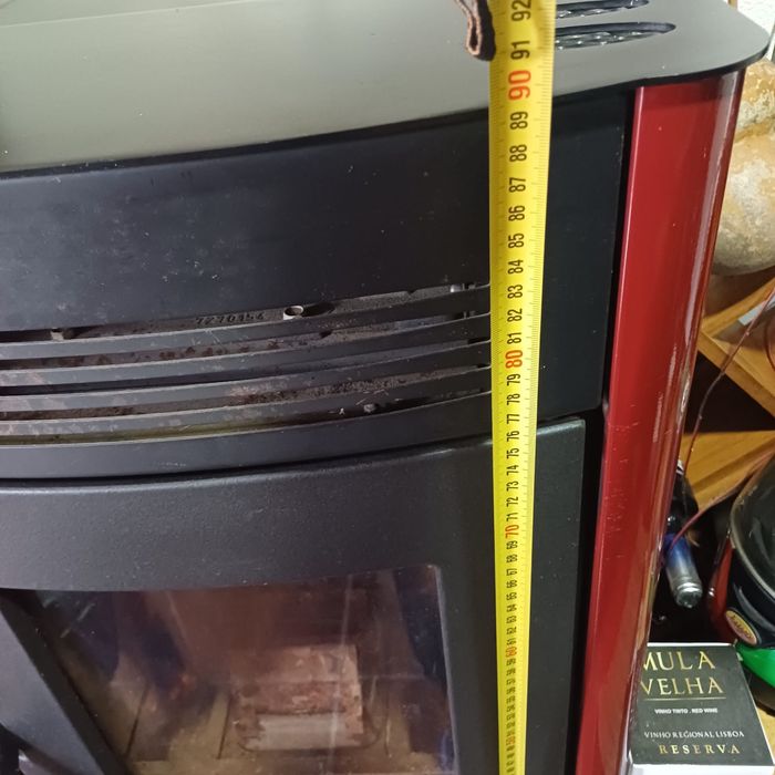 Salamndra em bom estado