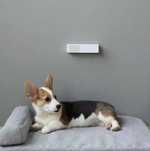 Устранитель запахов для туалетов кошек и собак Petkit Smart