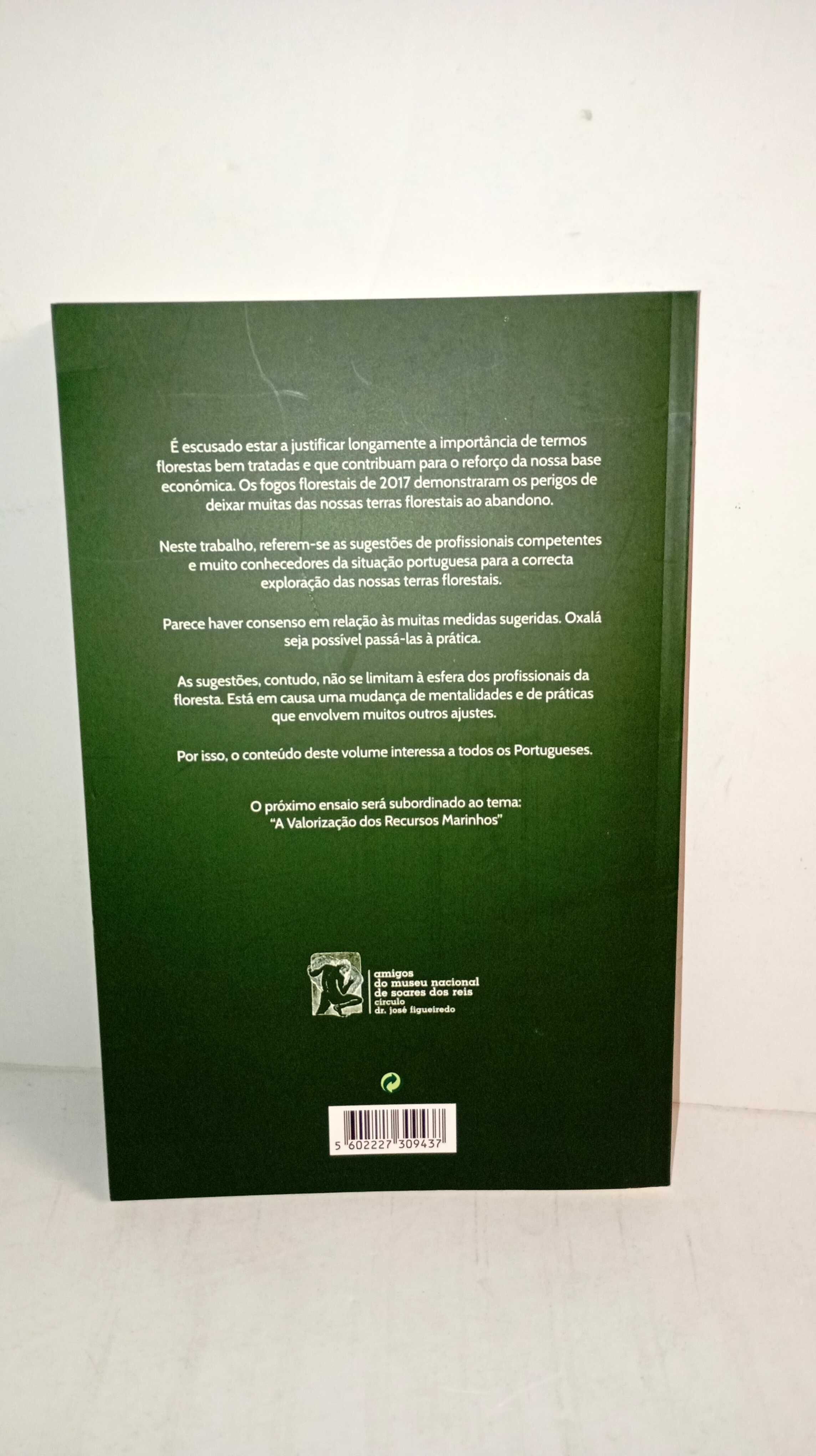 A Gestão das Terra Florestais