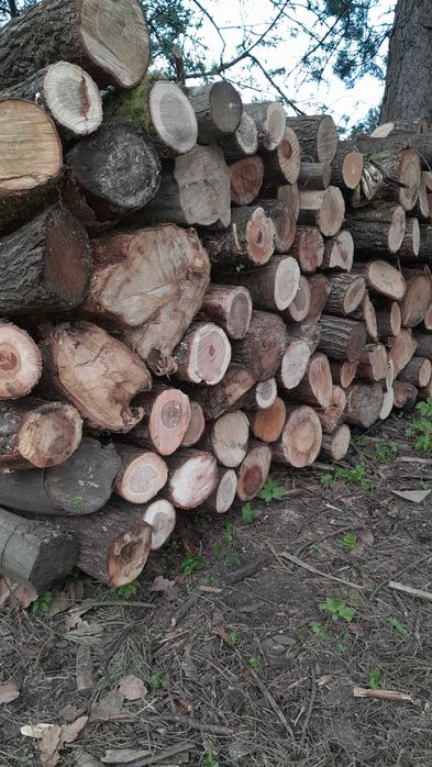 Drewno Opałowe Kominkowe Sosna Dąb Olcha