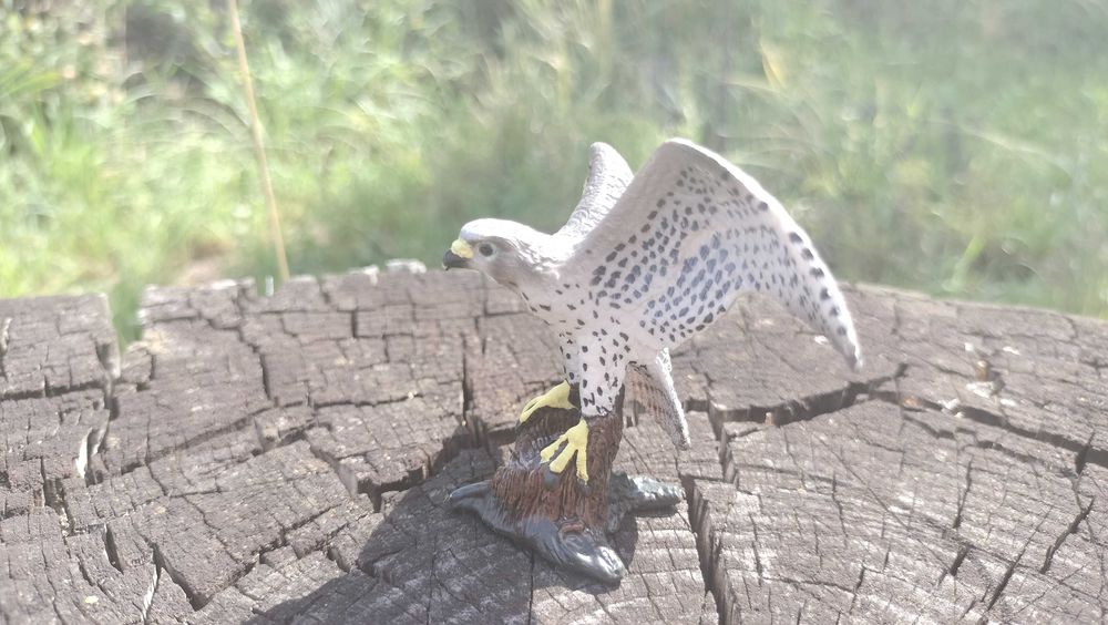 Фігурки птахів Шляйх Філін й Сокіл Schleich Eagle Owl Peregrine Falcon