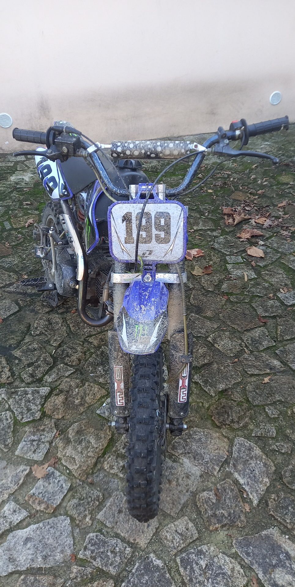 Vendo pitbike 125