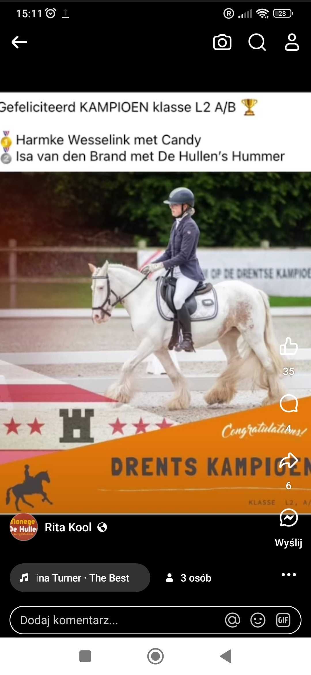 Kon ujezdzenie sport klacz tinker irish cob kuc grupa C