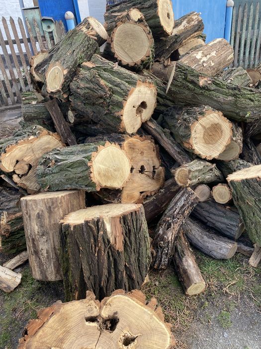 Продам дрова твёрдых пород