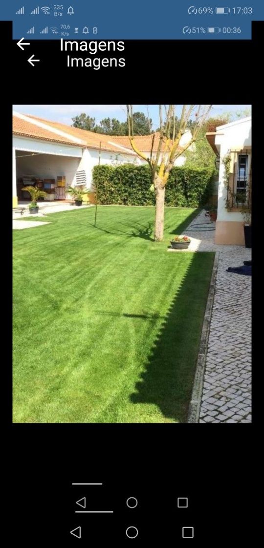 Manutenção de jardins,abate árvores, limpeza de terrenos
