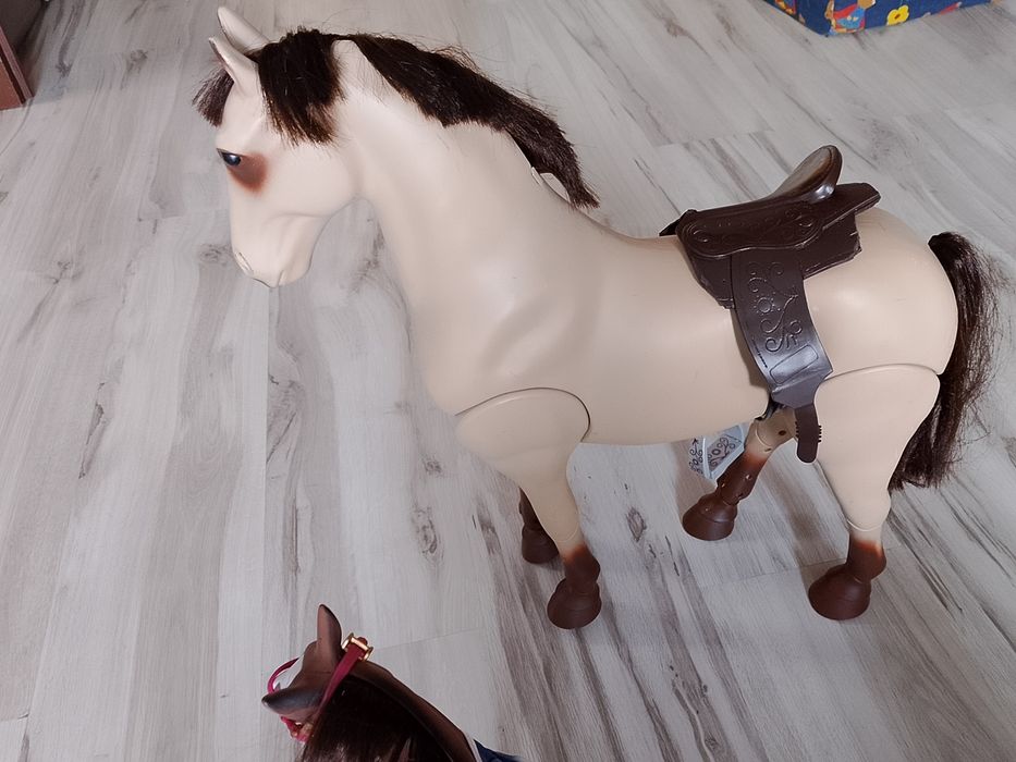 Koń koniki większy i mniejszy