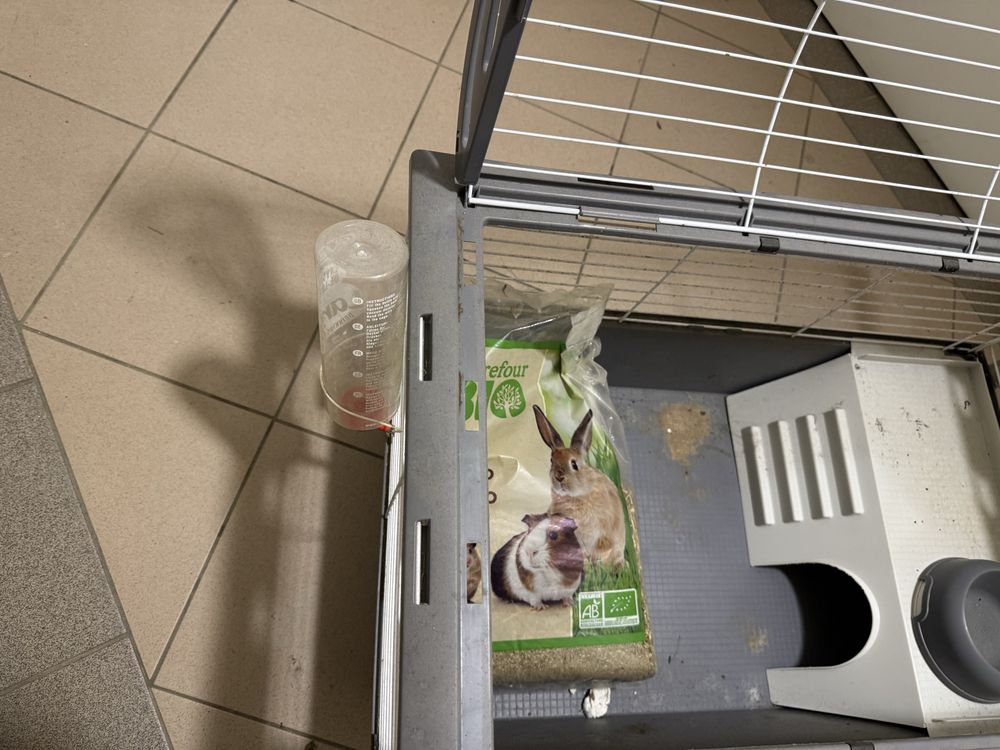 Klatka na świnkę morską lub królika.